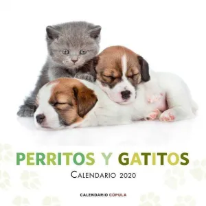 CALENDARIO 2020 PERRITOS Y GATITOS                                         
