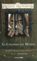 REINOS OLVIDADOS: SENDAS DE TINIEBLAS VOL.2: LA COLUMNA DEL MUNDO (NUEVA PO