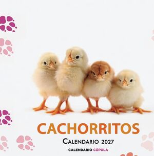 CALENDARIO CACHORRITOS