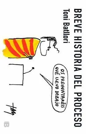 BREVE HISTORIA DEL PROCESO