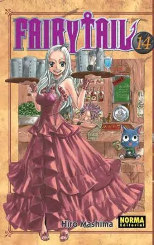 FAIRY TAIL #14