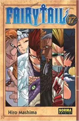 FAIRY TAIL #17