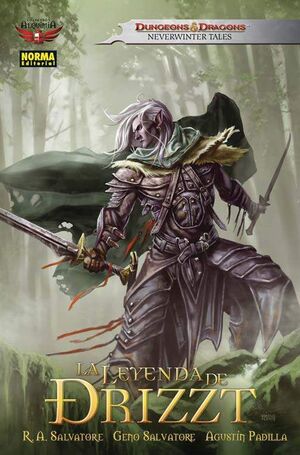 LA LEYENDA DE DRIZZT