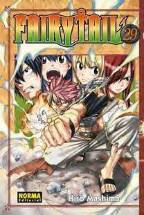 FAIRY TAIL #29