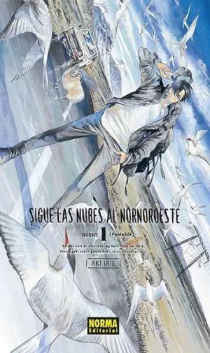 SIGUE LAS NUBES AL NORNOROESTE #01
