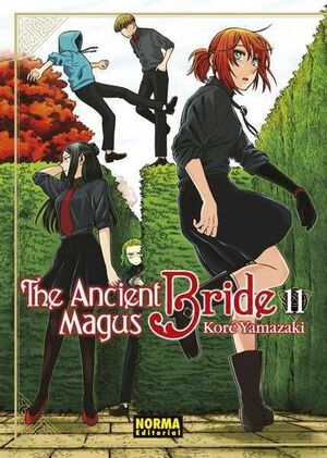THE ANCIENT MAGUS BRIDE #11