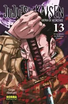 JUJUTSU KAISEN #13