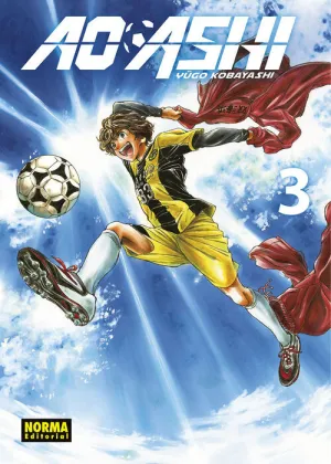 AO ASHI #03