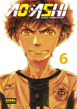 AO ASHI #06 AO ASHI #06