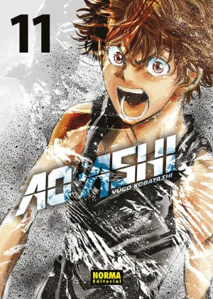 AO ASHI #11 AO ASHI #11