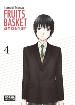 FRUITS BASKET ANOTHER  #04