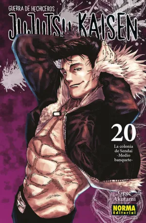 JUJUTSU KAISEN #20