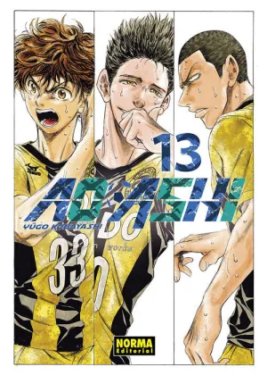 AO ASHI #13 AO ASHI #13