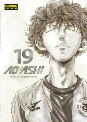 AO ASHI #19 AO ASHI #19