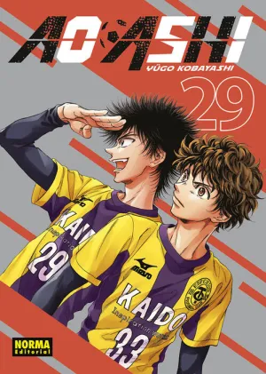 AO ASHI #29 AO ASHI #29