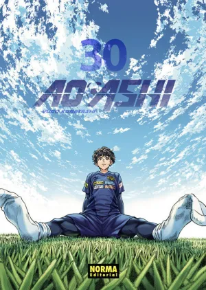 AO ASHI #30