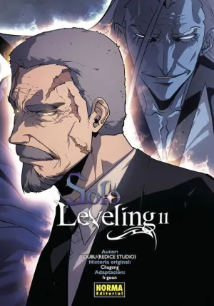 SOLO LEVELING #11