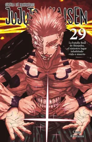 JUJUTSU KAISEN #29