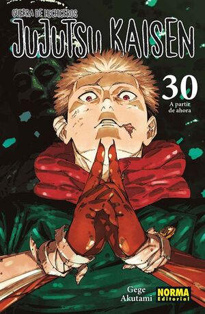 JUJUTSU KAISEN #30