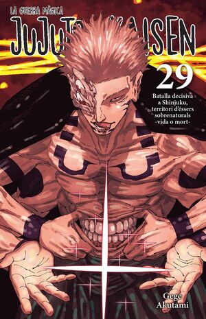 JUJUTSU KAISEN #29 (CATALÀ)