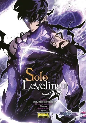 SOLO LEVELING #13