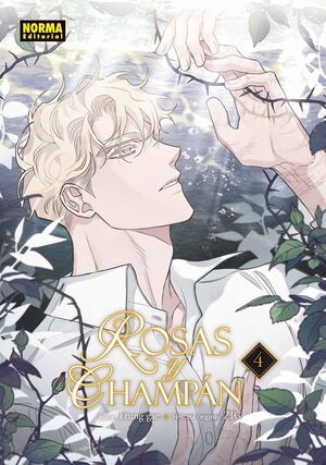 ROSAS Y CHAMPAN #04