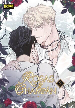 ROSAS Y CHAMPÁN #06