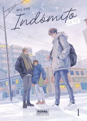 INDOMITO: SA YE #01