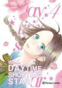 DAYTIME SHOOTING STARS #04