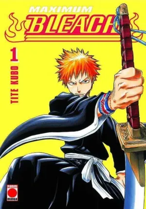 BLEACH MAXIMUM #01 (PANINI)