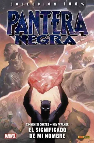 PANTERA NEGRA #02 EL SIGNIFICADO DE MI NOMBRE (100% MARVEL)