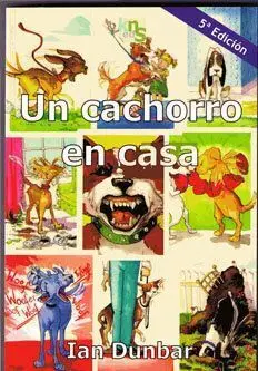 UN CACHORRO EN CASA