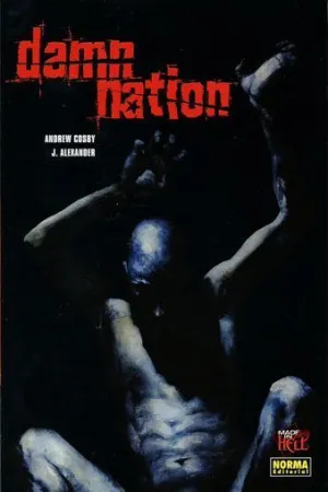 DAMN NATION