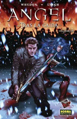 ANGEL: TRAS LA CAIDA VOL.3