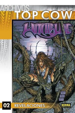 ARCHIVOS TOP COW WITCHBLADE #02