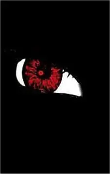ANNE RICE: CANTICOS DE SANGRE, CRONICAS VAMPIRICAS X