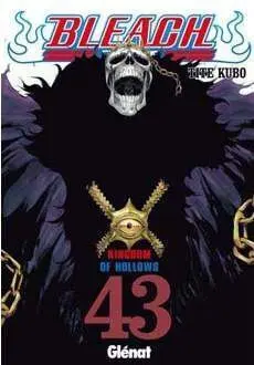 BLEACH #043