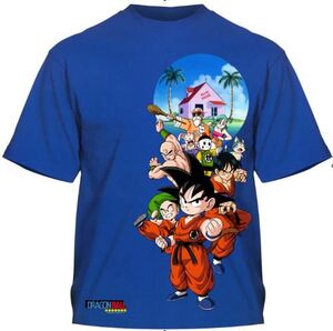 DRAGON BALL CAMISETA OFICIAL KAME HOUSE S                                  