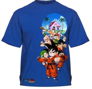 DRAGON BALL CAMISETA OFICIAL NIÑO KAME HOUSE 10                            