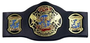 WWE CINTURON ECW WORLD CHAMPIONSHIP                                        