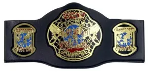 WWE CINTURON ECW WORLD CHAMPIONSHIP                                        