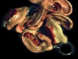 IMAGEN DEATH LLLAVERO 5CM LA OREJA                                         