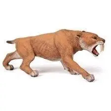 *PAPO SMILODON                                                             