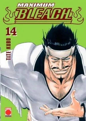 BLEACH MAXIMUM #14 (PANINI)