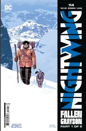 NIGHTWING #41