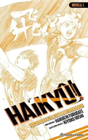 HAIKYÛ!! (NOVELA) #01