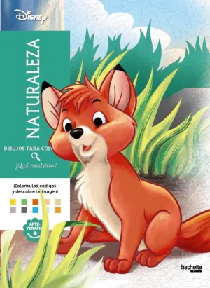 DISNEY DIBUJOS PARA COLOREAR, ¡QUÉ MISTERIO! NATURALEZA