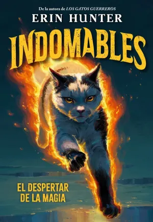 INDOMABLES VOLUMEN 1. EL DESPERTAR DE LA MAGIA